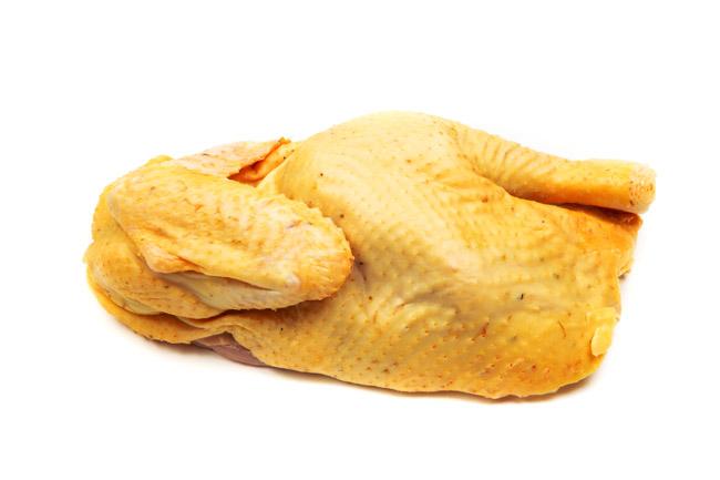 Comprar Gallo de Mos, pollos online en Mordeste
