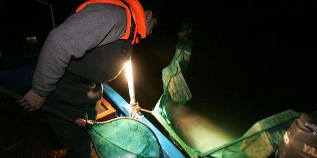 Compra angulas del río Miño en Mordeste